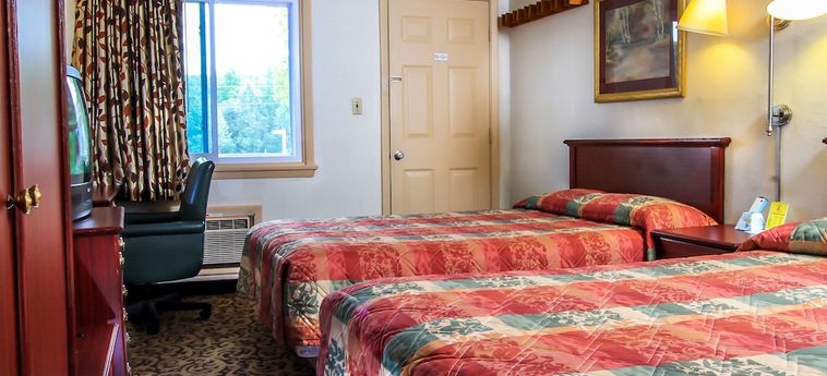 Hotel Happy Bear Motel Killington (Vt): Foto 