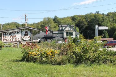 Hotel Happy Bear Motel Killington (Vt): Photo 