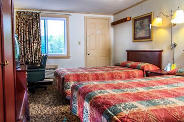 Hotel Happy Bear Motel Killington (Vt): Photo 