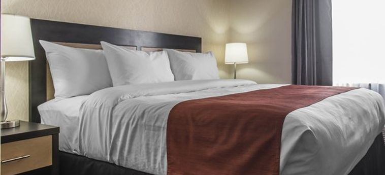 Hotel Quality Inn & Suites:  KINGSTON - ONTARIO