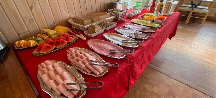 Hörgsland Guesthouse Kirkjubaejarklaustur: Foto 