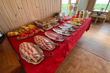 Hörgsland Guesthouse Kirkjubaejarklaustur: Photo 