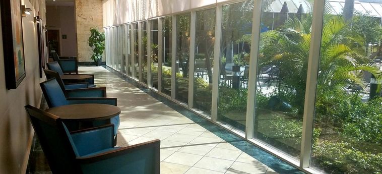 Hotel Wyndham Orlando Resort & Conference Center Celebration Area:  KISSIMMEE (FL)