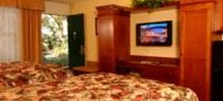 Hotel Baymont Inn And Suites:  KISSIMMEE (FL)