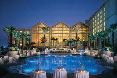 Hotel Gaylord Palms Resort & Convention Center:  KISSIMMEE (FL)