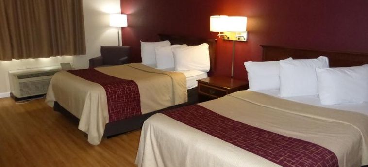 RED ROOF INN KNOXVILLE CENTRAL - PAPERMILL ROAD 3 Estrellas