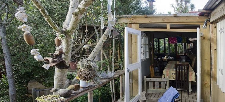 Bamboo, The Guest House:  KNYSNA