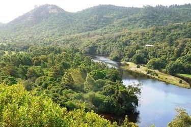 Hotel Velvet Moon Cottage Knysna: Photo 