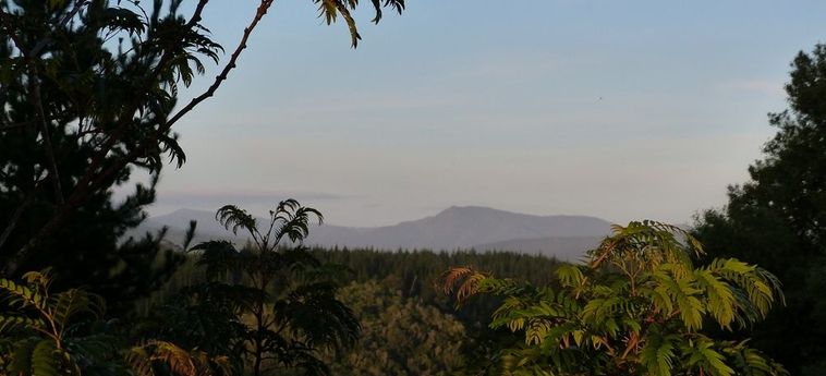 Hotel Woodlands Self Catering, Knysna Knysna: Foto 