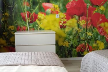 Apartmenthaus Abendsonne Koblenz: Photo 