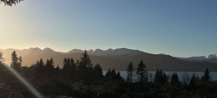 9Th Wave Bed And Breakfast Kodiak (Ak): Foto 
