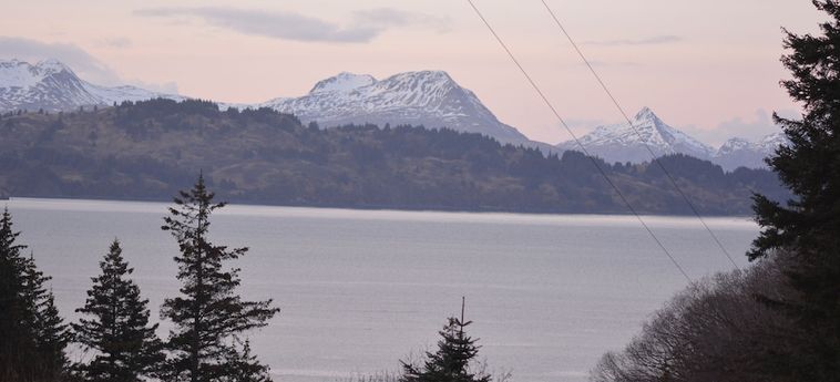 9Th Wave Bed And Breakfast Kodiak (Ak): Foto 
