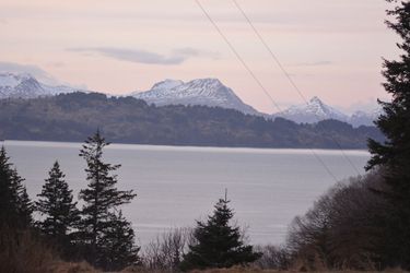9Th Wave Bed And Breakfast Kodiak (Ak): Photo 