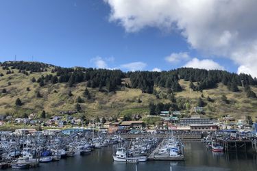 Hotel Kodiak Compass Suites Kodiak (Ak): Photo 