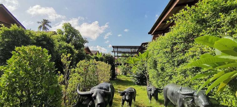 Hotel Lanta Forest Koh Lanta: Foto 