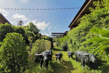 Hotel Lanta Forest Koh Lanta: Photo 