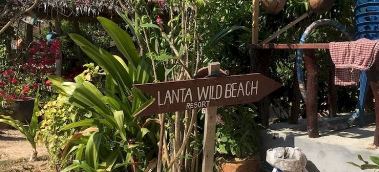 Hotel Lanta Wild Beach Resort:  KOH LANTA