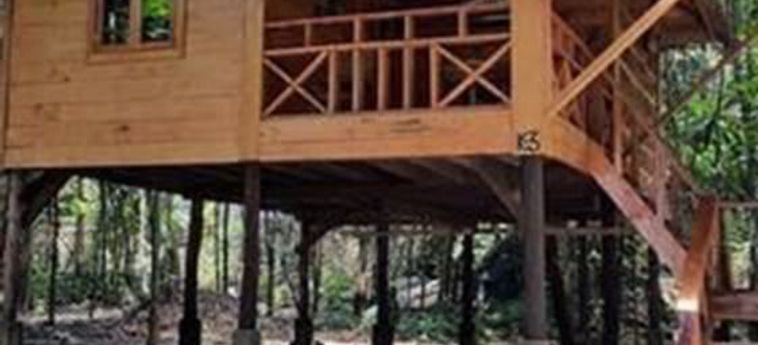 TREE HOUSE BUNGALOWS RESORT 2 Sterne