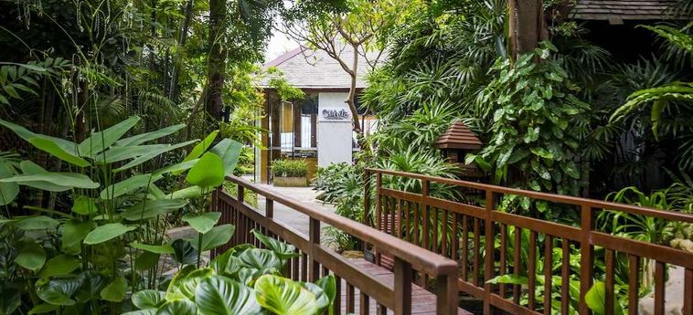 Hotel Baan Haad Ngam Boutique Resort &Amp; Villas Koh Samui : Photo 