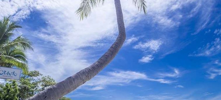Hotel Baan Haad Ngam Boutique Resort &Amp; Villas Koh Samui: Foto 