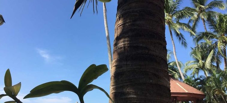 Hotel Kanok Buri Resort Koh Samui : Photo 