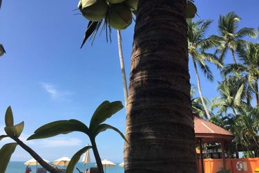 Hotel Kanok Buri Resort Koh Samui: Photo 