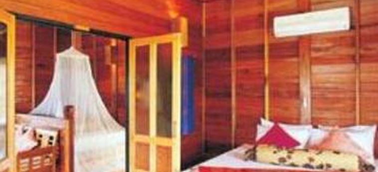 Hotel Sensi Paradise Beach Resort Koh Tao : Photo 