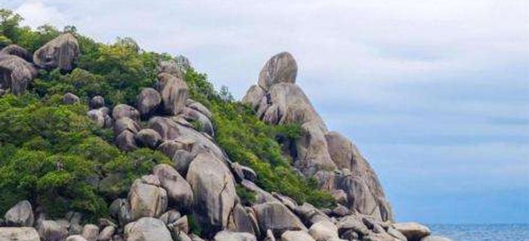 Tao Island Boutique Hotel Koh Tao : Photo 