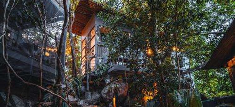 Warehouse Hostel Koh Tao : Photo 