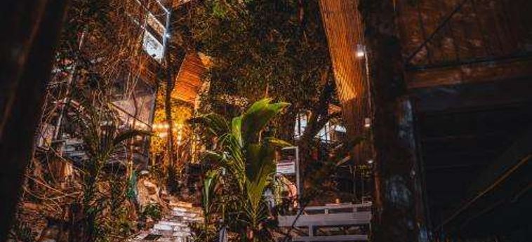 Warehouse Hostel Koh Tao: Foto 
