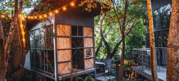 Warehouse Hostel Koh Tao: Foto 