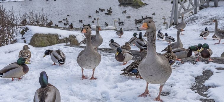 201 Hotel Kopavogur: Foto 