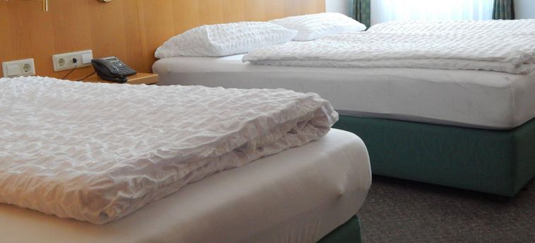Hotel Alpina Kranjska Gora : Photo 