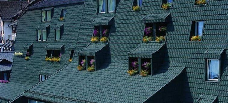 Hotel Alpina Kranjska Gora : Photo 