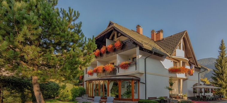 Hotel Miklic Kranjska Gora : Photo 