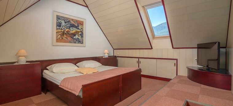 Hotel Miklic Kranjska Gora: Foto 