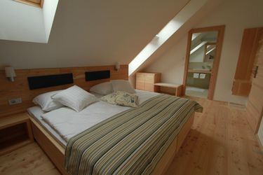 Botique Hotel Skipass Kranjska Gora: Photo 