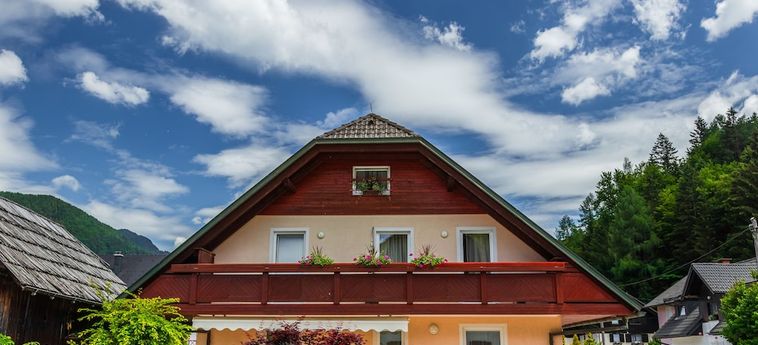 Hotel Villa Nena Kranjska Gora: Foto 