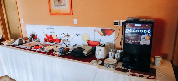 Hotel Pansion Brezov Gaj Kranjska Gora: Foto 