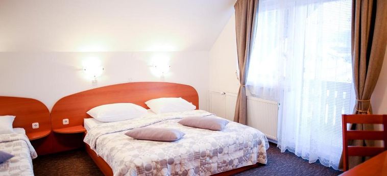 Hotel Pansion Brezov Gaj Kranjska Gora : Photo 