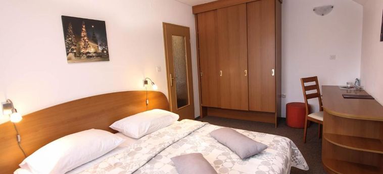 Hotel Pansion Brezov Gaj Kranjska Gora : Photo 