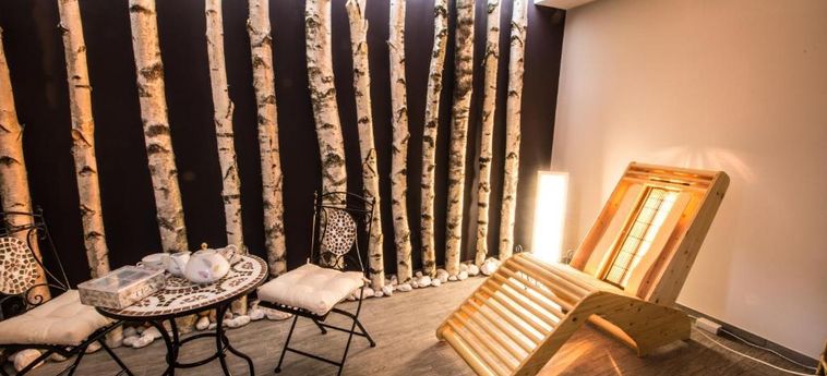 Hotel Pansion Brezov Gaj Kranjska Gora : Photo 