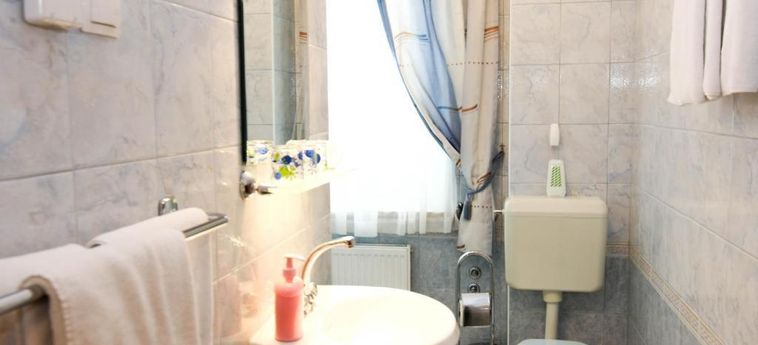 Hotel Pansion Brezov Gaj Kranjska Gora : Photo 