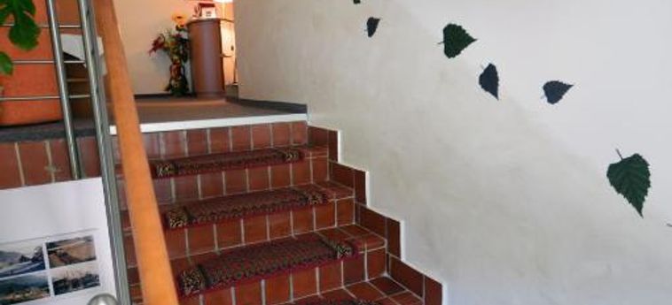 Hotel Pansion Brezov Gaj Kranjska Gora : Photo 