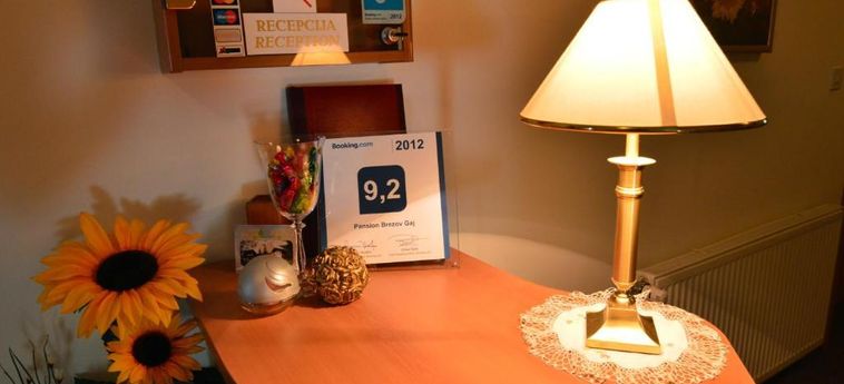Hotel Pansion Brezov Gaj Kranjska Gora : Photo 