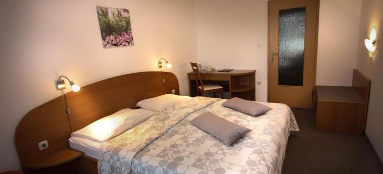 Hotel Pansion Brezov Gaj Kranjska Gora : Photo 