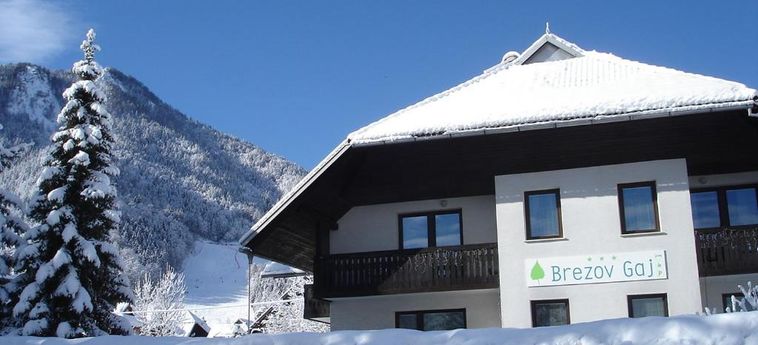 Hotel Pansion Brezov Gaj Kranjska Gora: Foto 