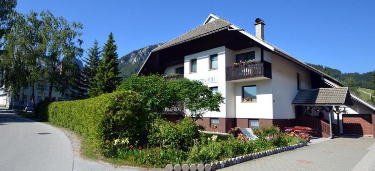 Hotel Pansion Brezov Gaj Kranjska Gora: Foto 