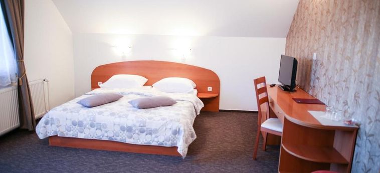 Hotel Pansion Brezov Gaj Kranjska Gora: Foto 