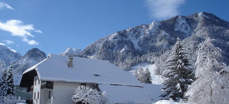 Hotel Pansion Brezov Gaj Kranjska Gora: Foto 